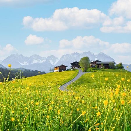 Mountain Vista - Bio Yoga Hof Apartment คิทซ์บือห์ ภายนอก รูปภาพ