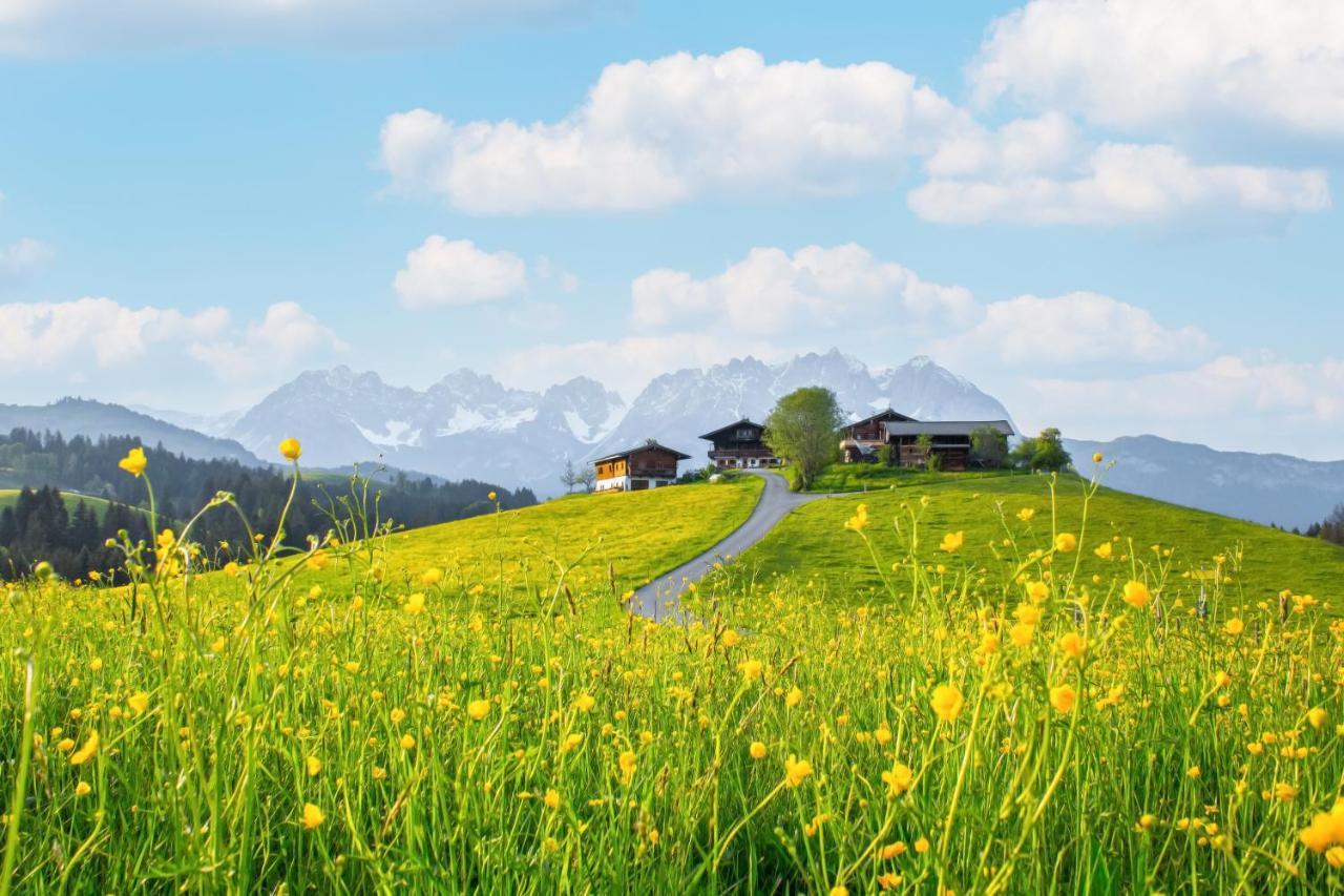 Mountain Vista - Bio Yoga Hof Apartment คิทซ์บือห์ ภายนอก รูปภาพ
