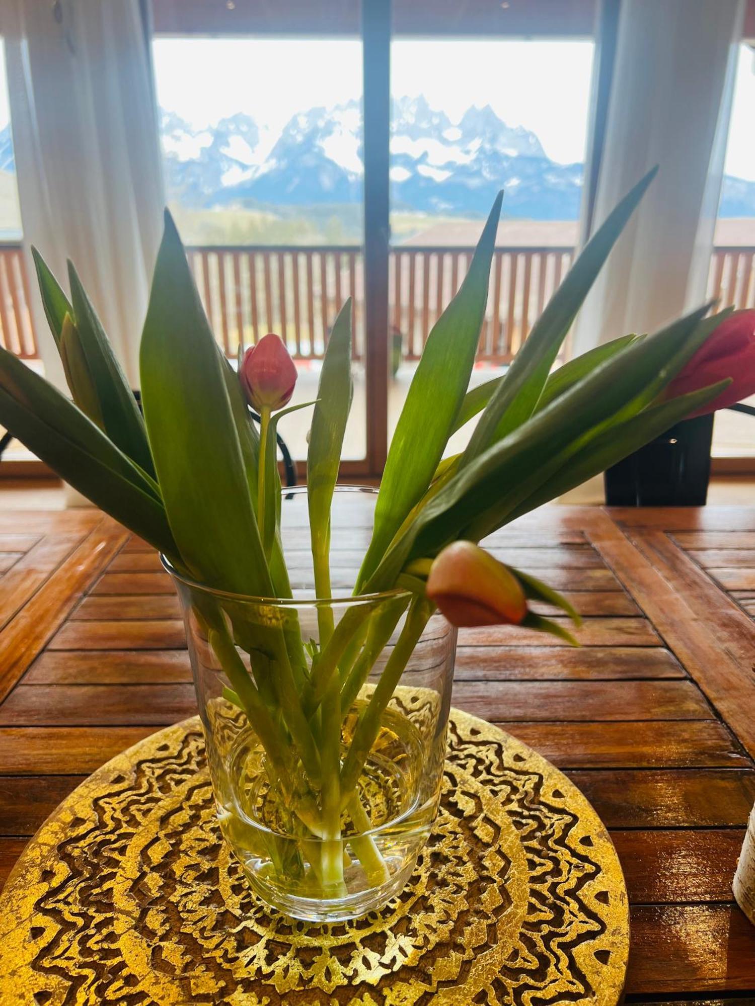 Mountain Vista - Bio Yoga Hof Apartment คิทซ์บือห์ ภายนอก รูปภาพ